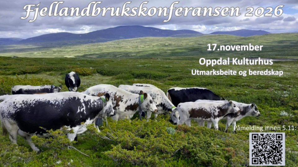 Lenke til artikkel: Velkommen til Fjellandbrukskonferansen 2026